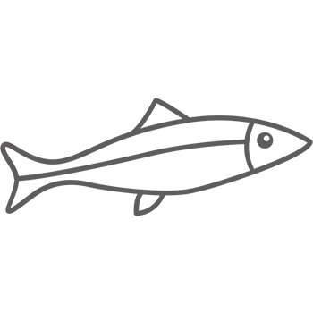 Sardinky v olivovom oleji PINHAIS 125g - rybacia pomazanka - rybacia pomazánka zo sardiniek - rybacia pomazanka sardinky - sardinky v olivovém oleji - baltické sardinky